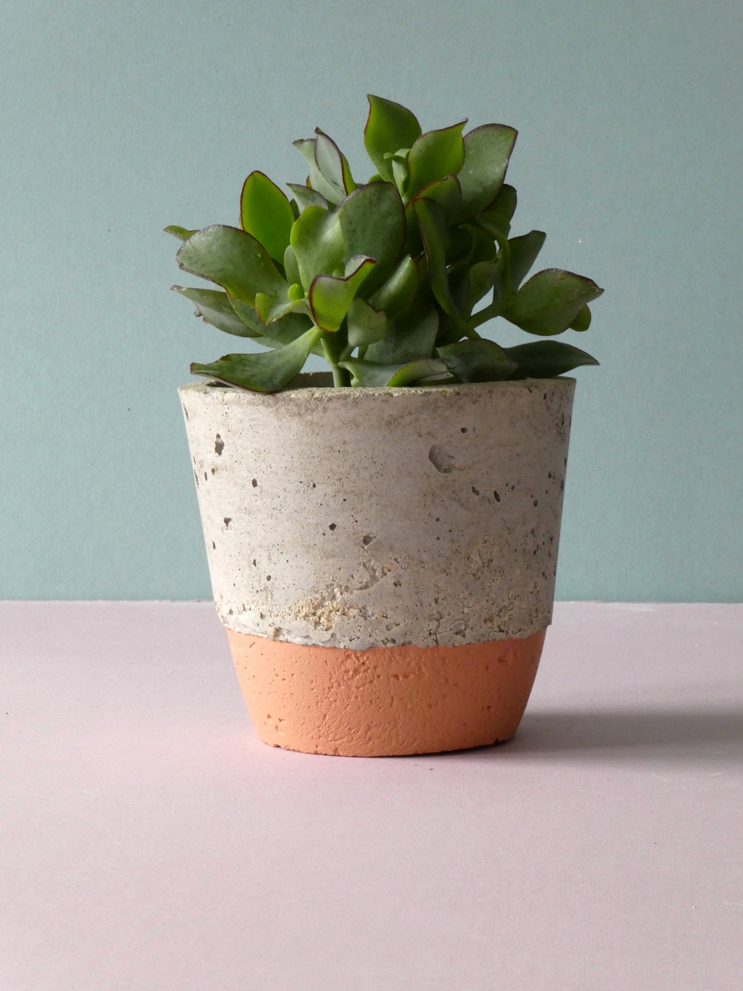 Handcrafted concrete pot with colour