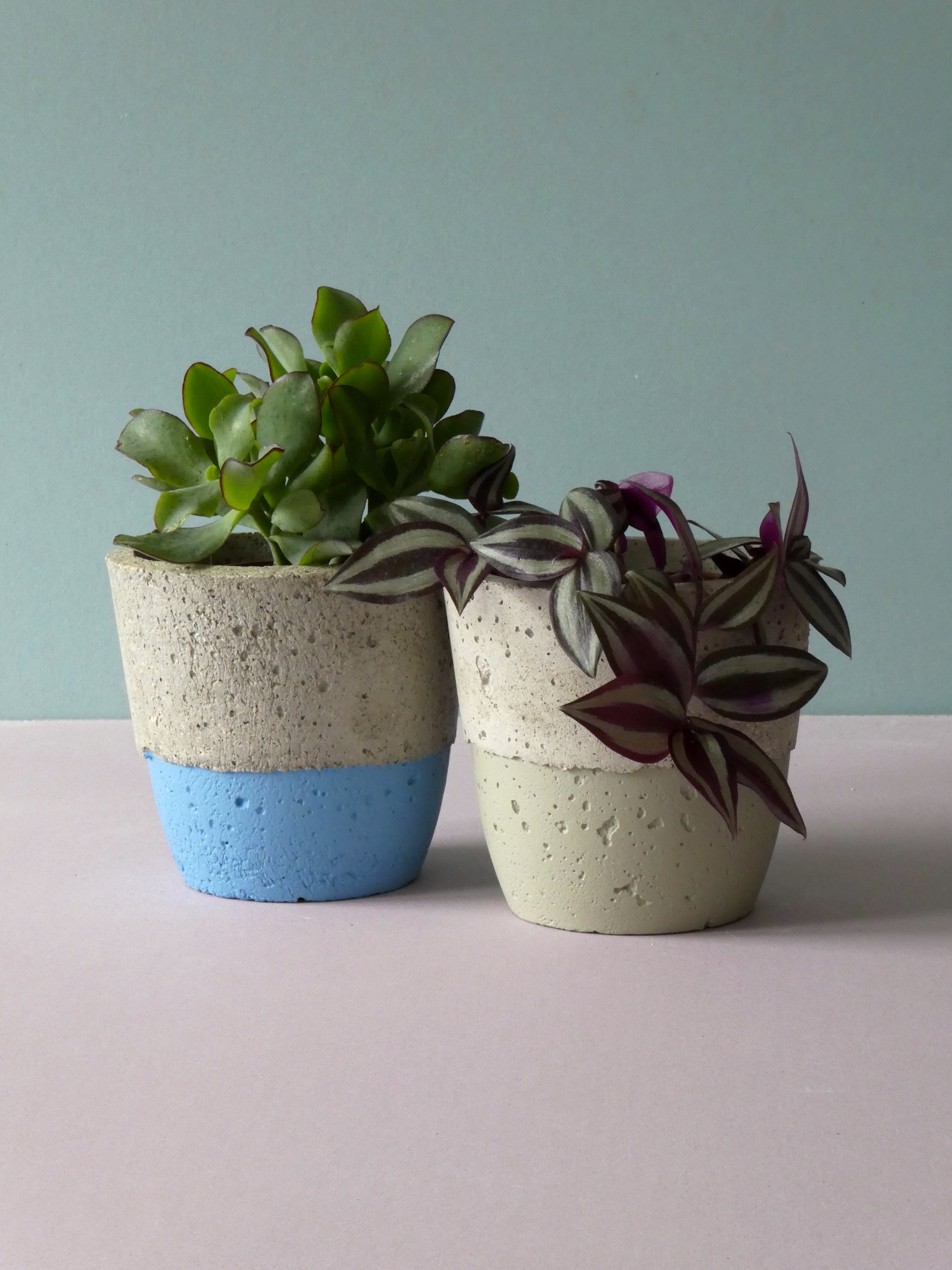 Handmade concrete pots with colour