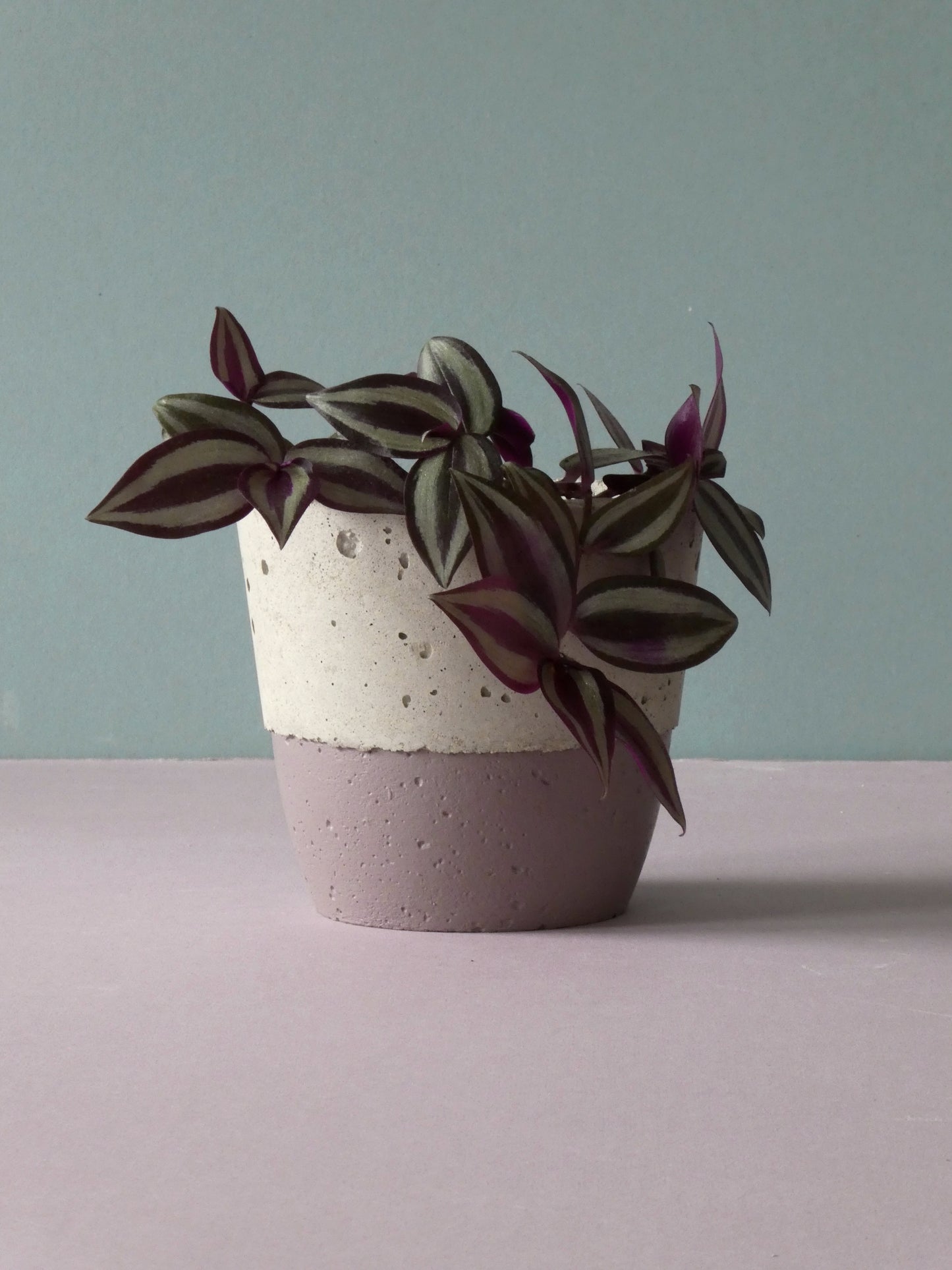 Handcrafted concrete pot with colour