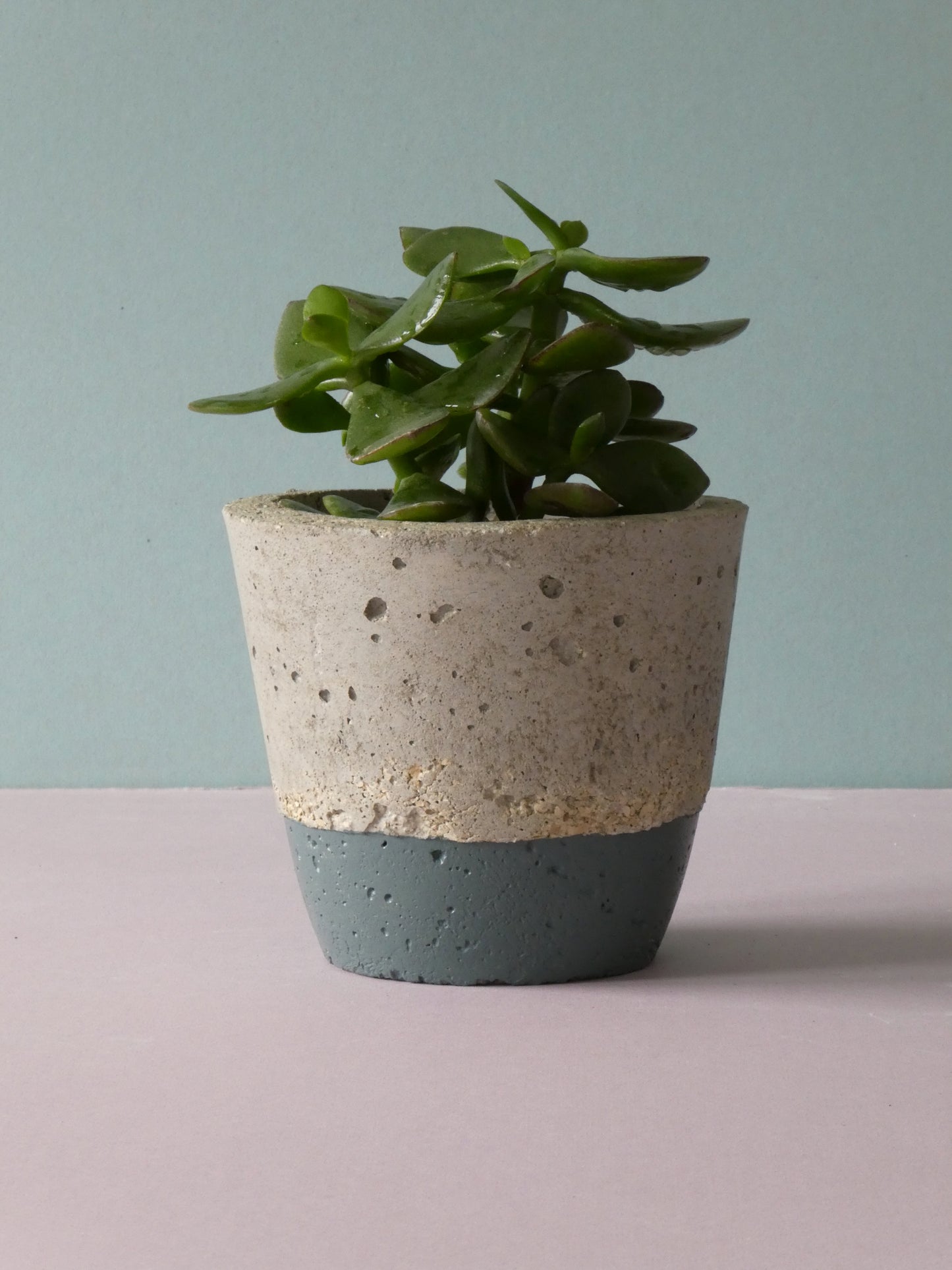 Handcrafted concrete pot with colour