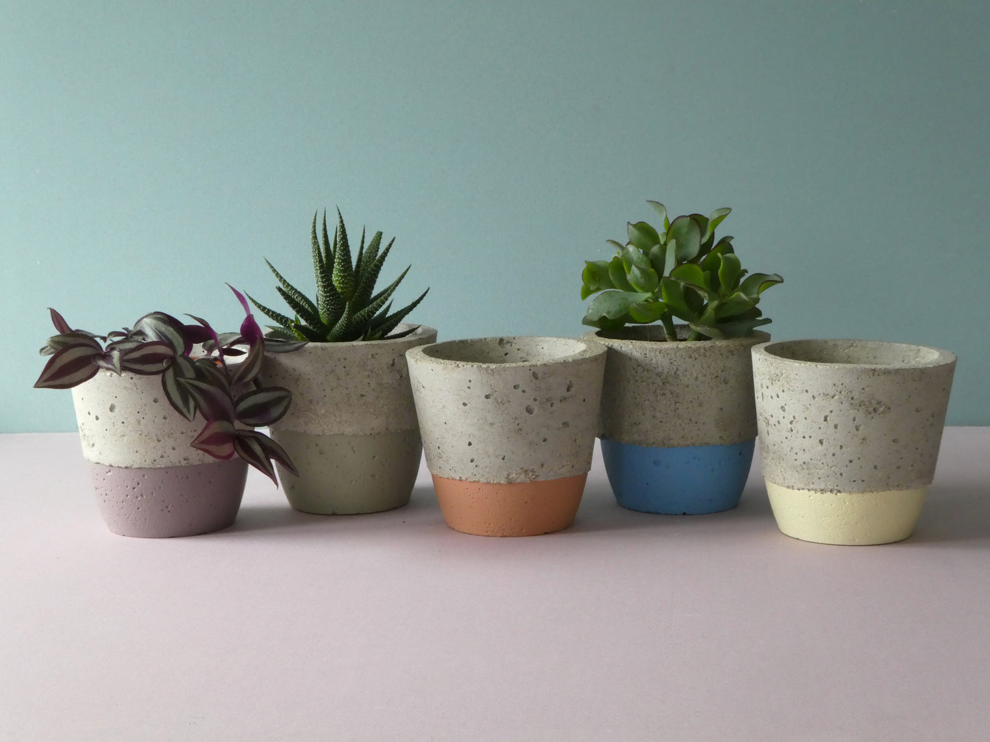 Handmade concrete pot with colour