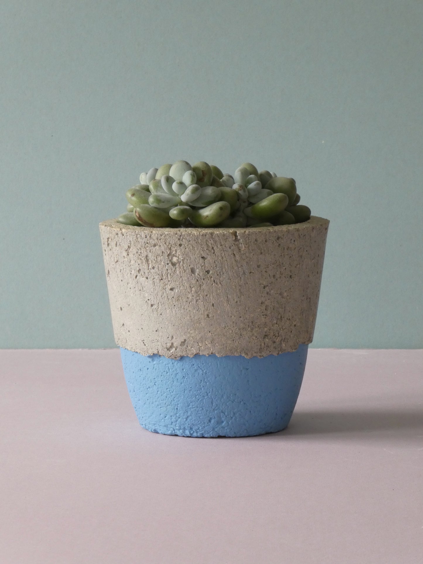 Handcrafted concrete pot with colour