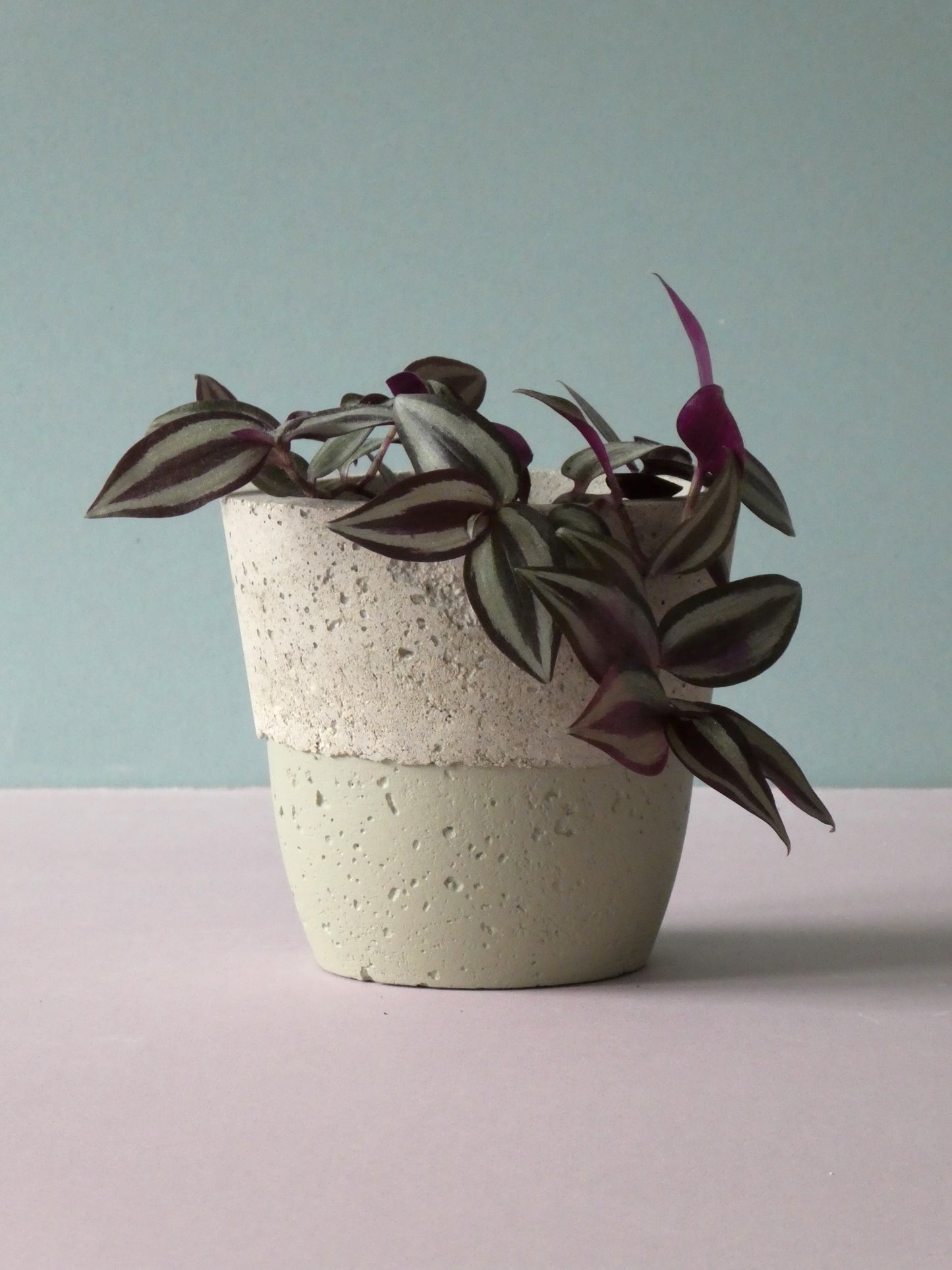 Handcrafted concrete pot with colour