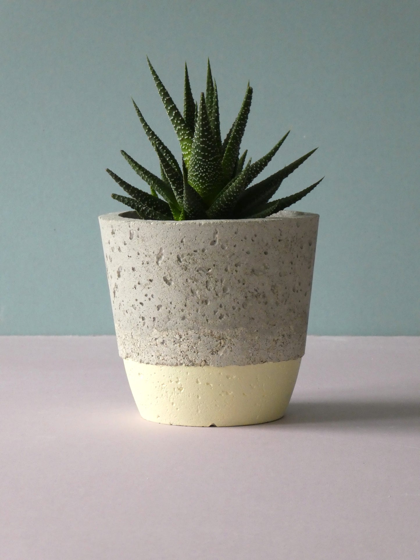 Handcrafted concrete pot with colour