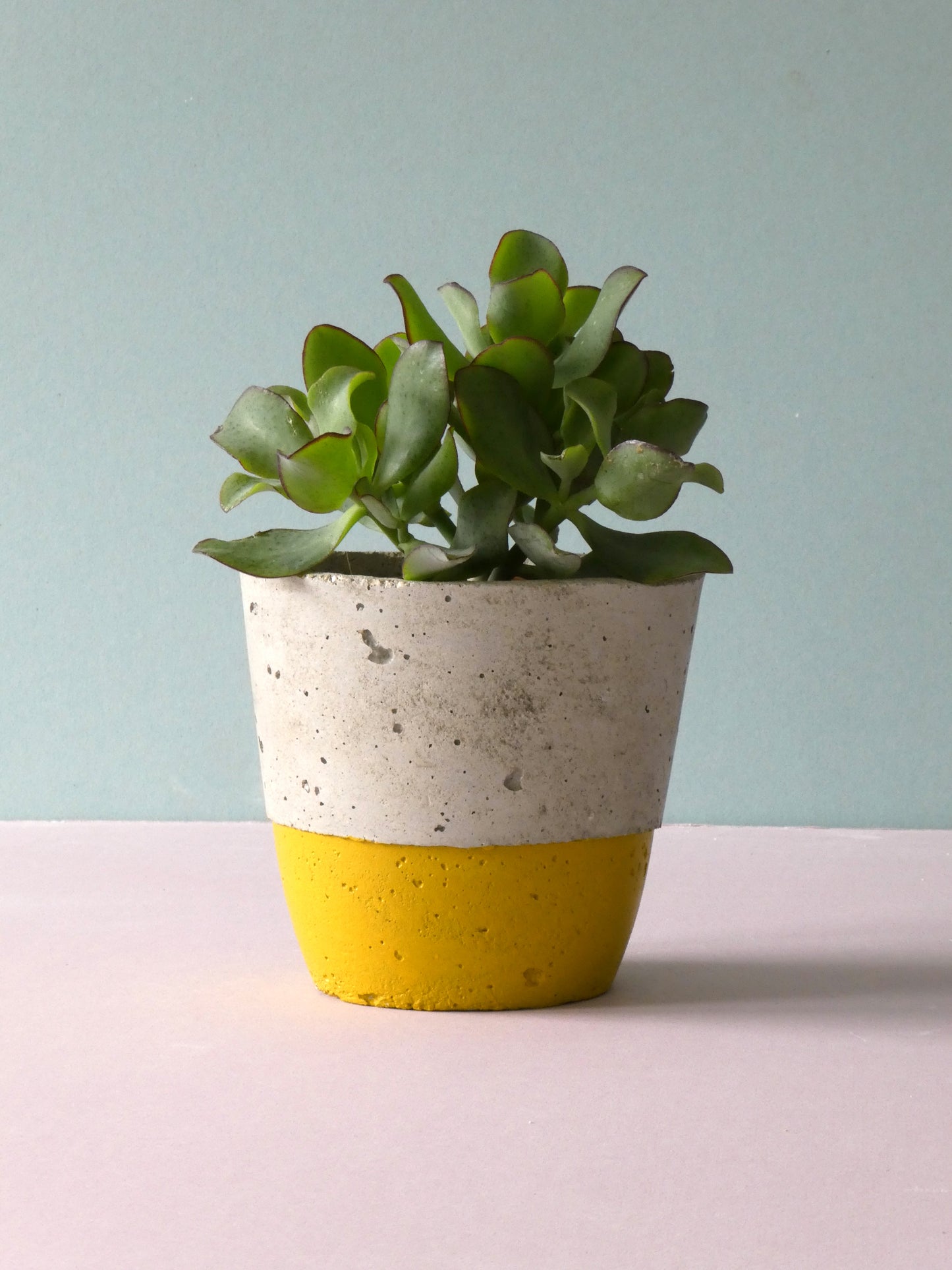 Handcrafted concrete pot with colour