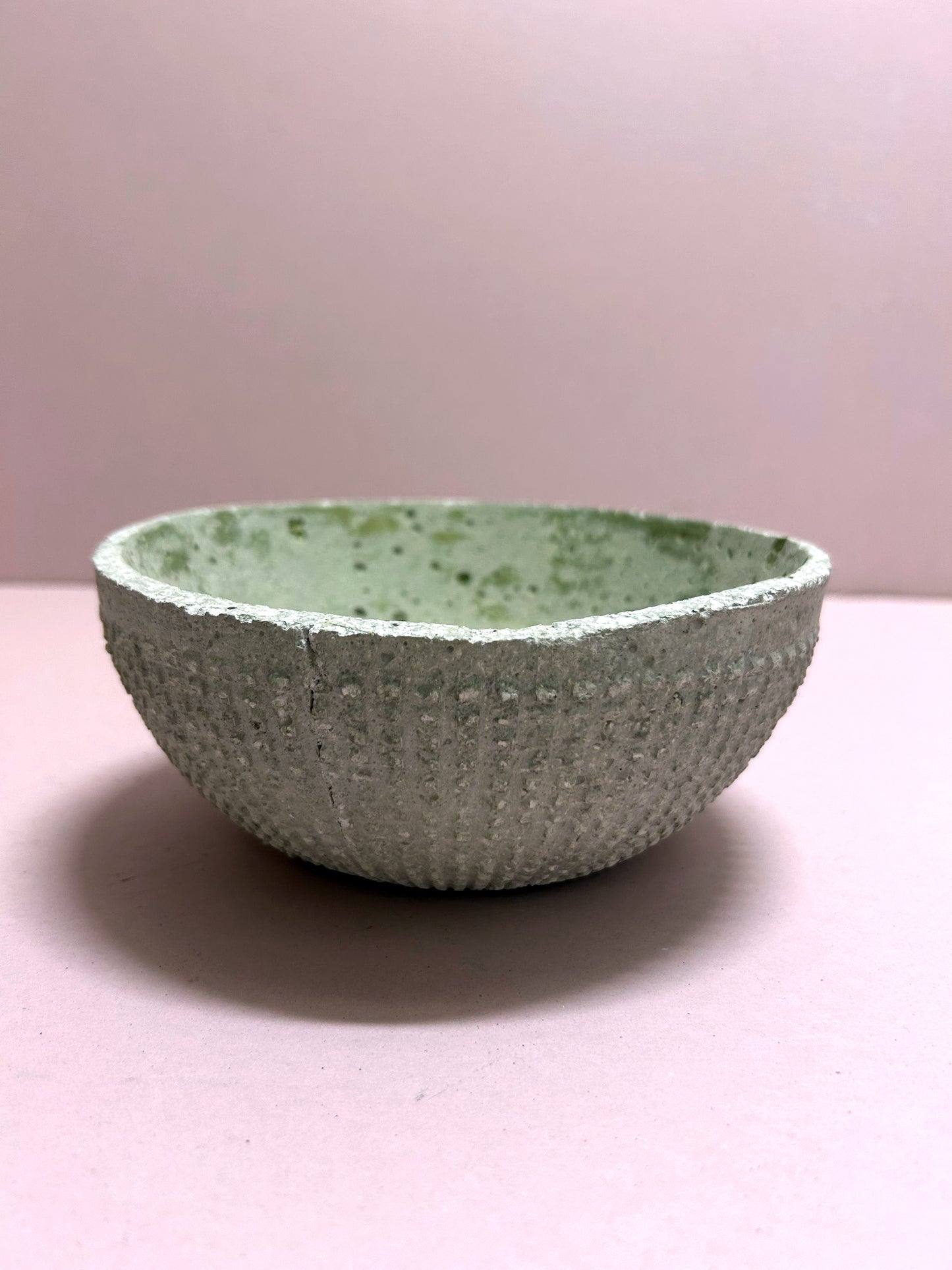 Small textured concrete bowl with green inside