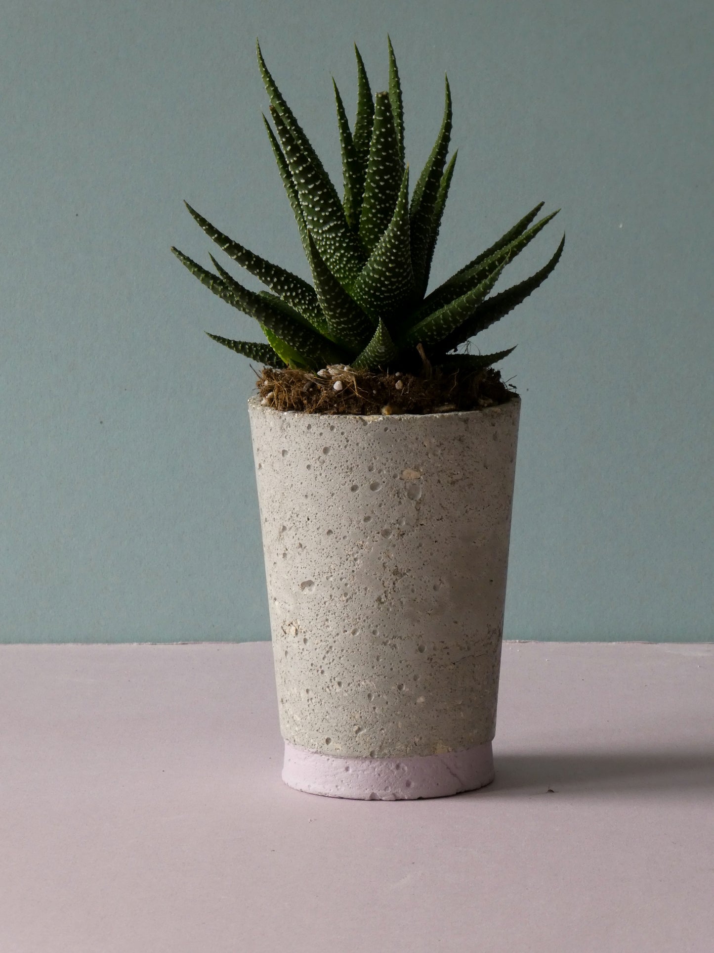 Concrete pot Sale with colour