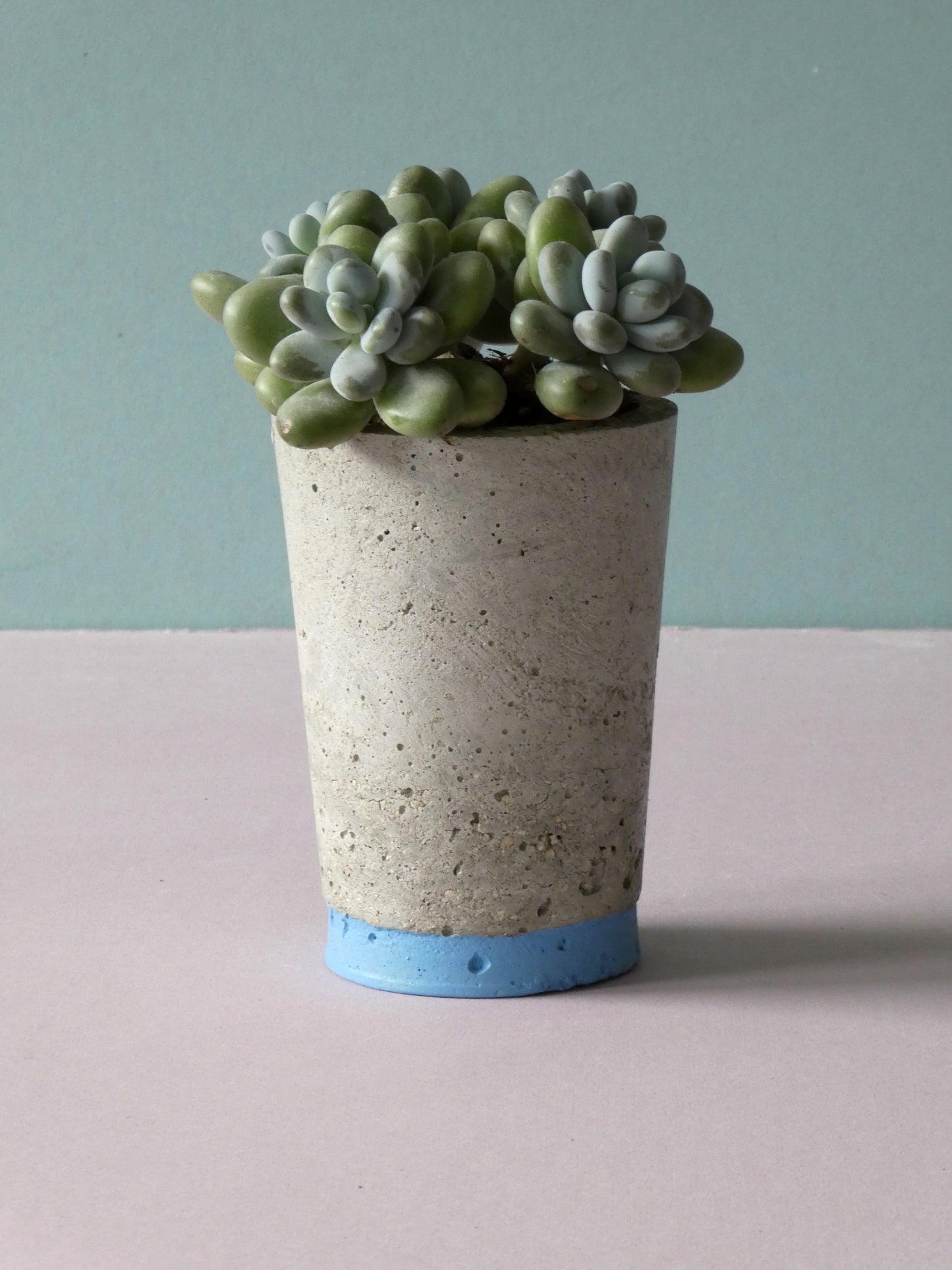 Concrete pot Sale with colour