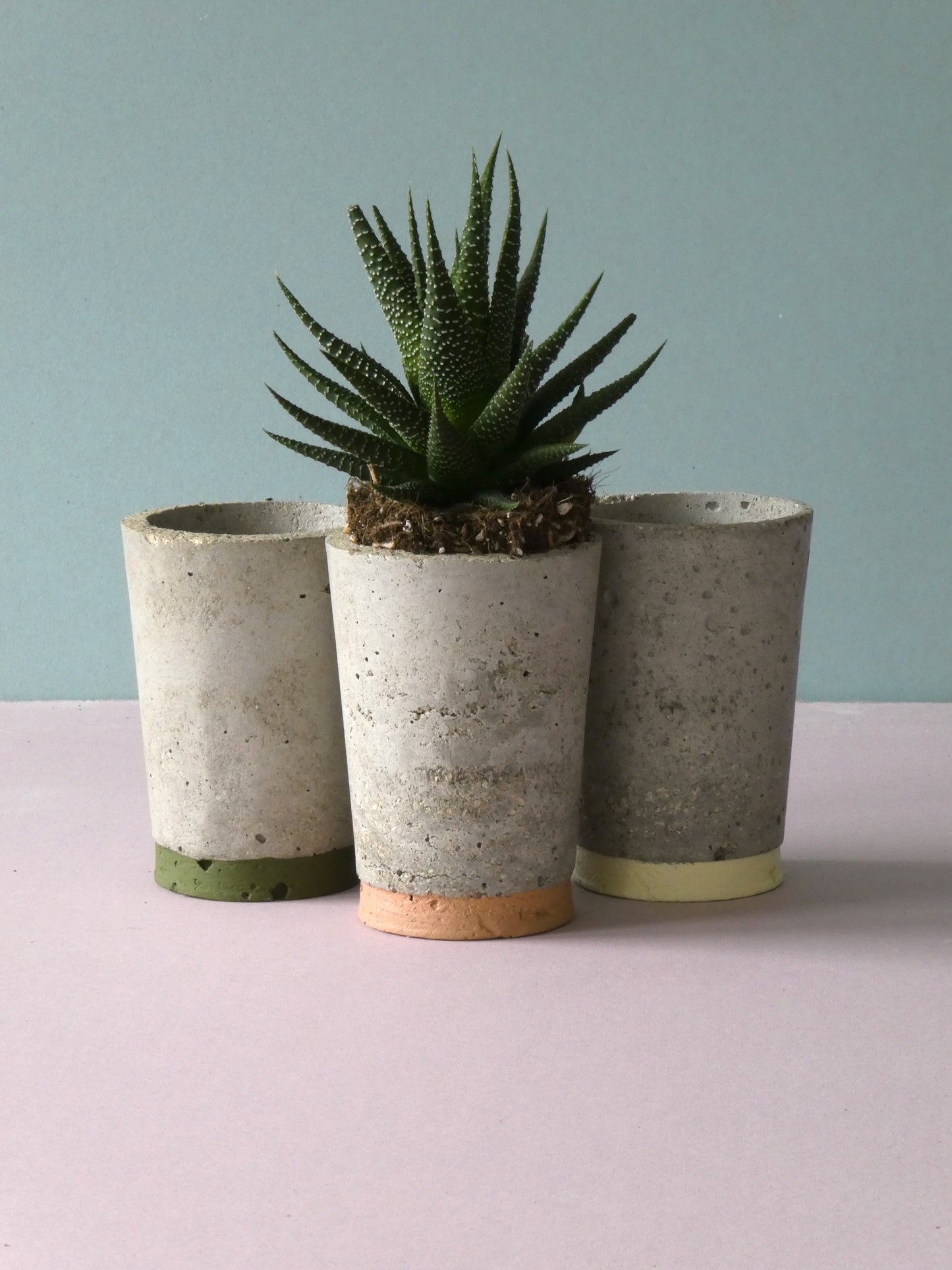 Concrete pot Sale with colour