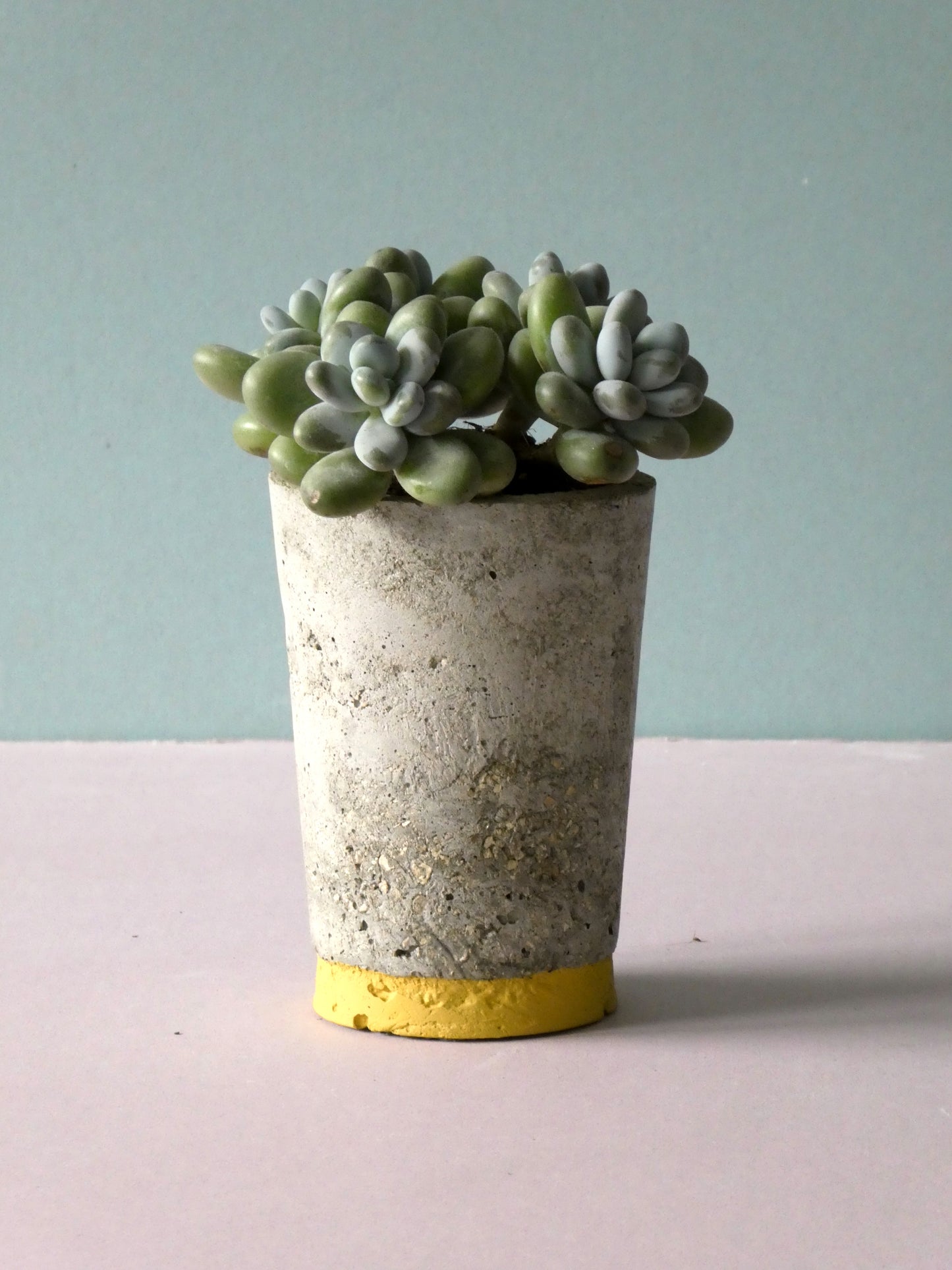 Concrete pot Sale with colour